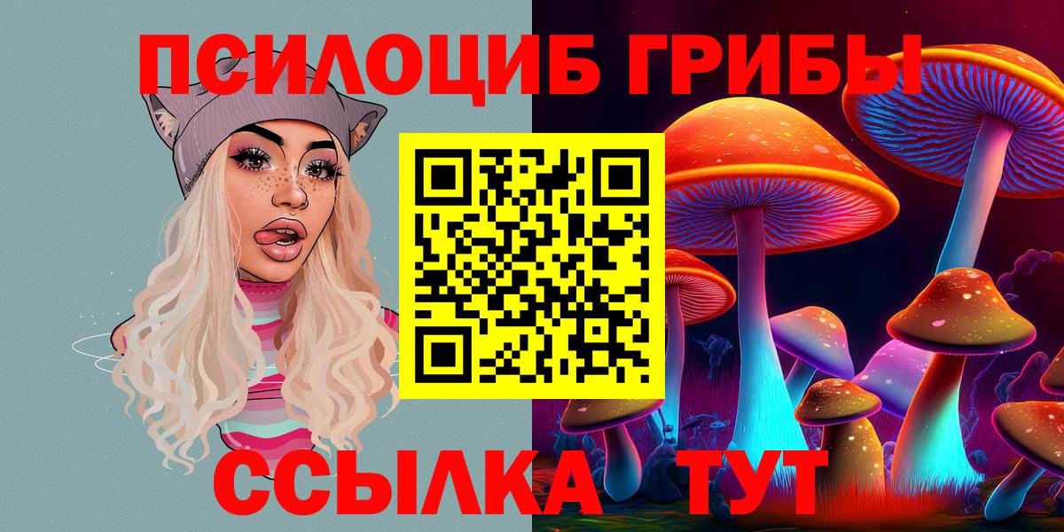 Спасск-Дальний  Псилоцибиновые грибы прущие грибы  Вход с VPN  Галлюциногенные грибы Psilocybine cubensis 